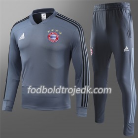FC Bayern München Sweatshirt Dragt Grå 2018/19